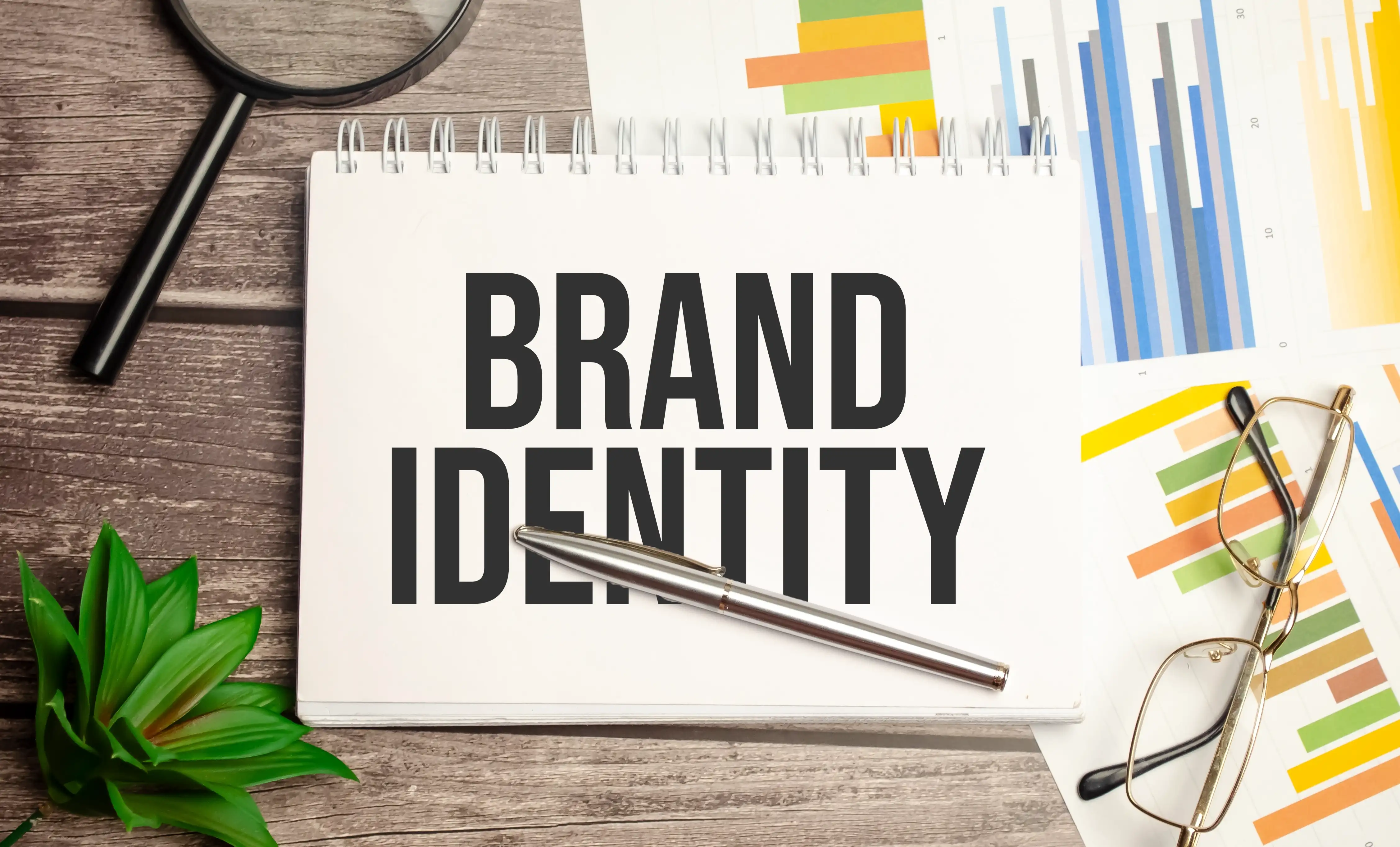 تصميم العلامة التجارية والهوية البصرية – WolfNova